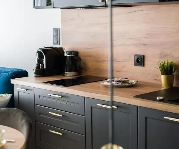 Niedzialkowskiego 25 Stary Browar Center By Renters Prestige Apartment Poznan