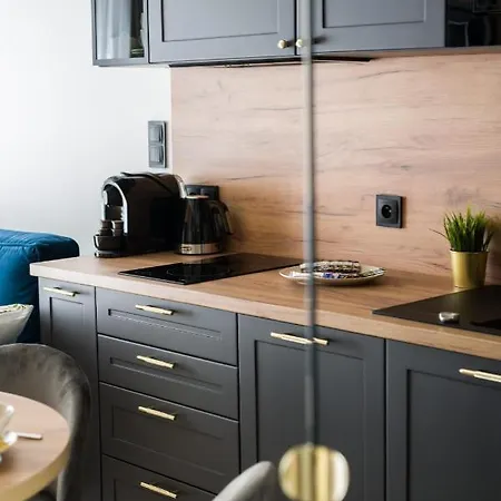 Niedzialkowskiego 25 Stary Browar Center By Renters Prestige Daire Poznan