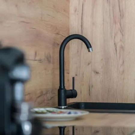 Daire Niedzialkowskiego 25 Stary Browar Center By Renters Prestige Poznan